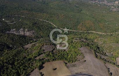 Çanakkale Biga Kazmalı Köyü 2902 M² Satılık Tarla!