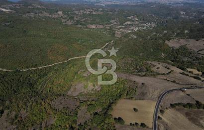 Çanakkale Biga Kazmalı Köyü 2902 M² Satılık Tarla!