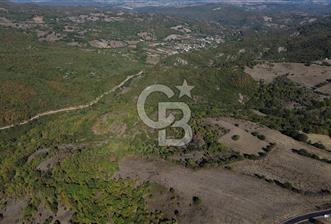 Çanakkale Biga Kazmalı Köyü 2902 M² Satılık Tarla!