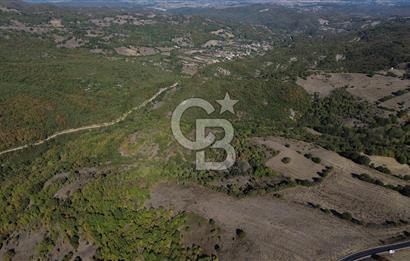 Çanakkale Biga Kazmalı Köyü 2902 M² Satılık Tarla!
