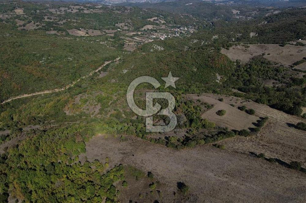 Çanakkale Biga Kazmalı Köyü 2902 M² Satılık Tarla!