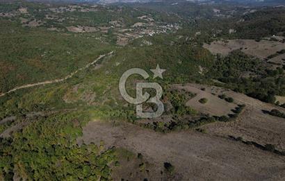 Çanakkale Biga Kazmalı Köyü 2902 M² Satılık Tarla!
