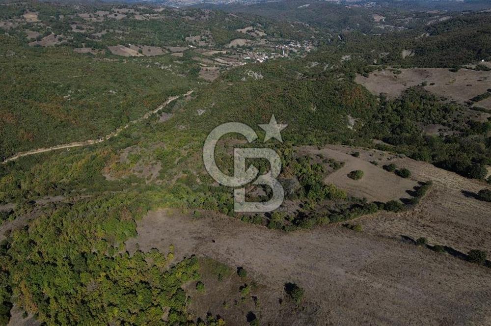 Çanakkale Biga Kazmalı Köyü 2902 M² Satılık Tarla!