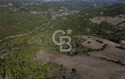 Çanakkale Biga Kazmalı Köyü 2902 M² Satılık Tarla!
