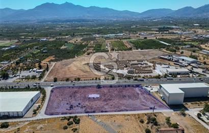 Kemalpaşa'da Ankara Asfaltını Üzeri Satılık Arazi