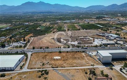 Kemalpaşa'da Ankara Asfaltını Üzeri Satılık Arazi