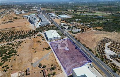 Kemalpaşa'da Ankara Asfaltını Üzeri Satılık Arazi