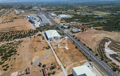 Kemalpaşa'da Ankara Asfaltını Üzeri Satılık Arazi