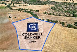 CB OPİA'DAN '' ŞAŞIRMAYIN GERÇEKTEN BU FİYATA SATIYORUZ ''