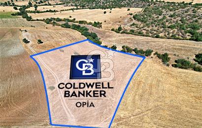 CB OPİA'DAN '' ŞAŞIRMAYIN GERÇEKTEN BU FİYATA SATIYORUZ ''