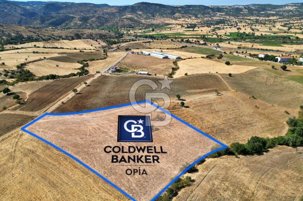 CB OPİA'DAN '' ŞAŞIRMAYIN GERÇEKTEN BU FİYATA SATIYORUZ ''