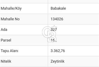 Çanakkale Ayvacık Babakale satılık 3400 m2 tarla zeytinlik uygun