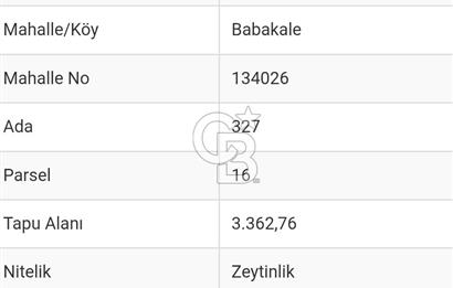 Çanakkale Ayvacık Babakale satılık 3400 m2 tarla zeytinlik uygun