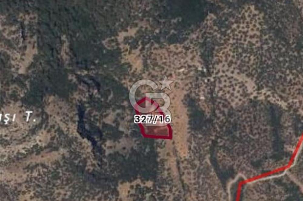 Çanakkale Ayvacık Babakale satılık 3400 m2 tarla zeytinlik uygun