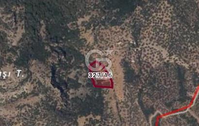 Çanakkale Ayvacık Babakale satılık 3400 m2 tarla zeytinlik uygun