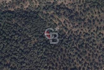 CB NETA ÖMER ÜNSAL'DAN MANZARALI 104 m² ZEYTİNLİK 