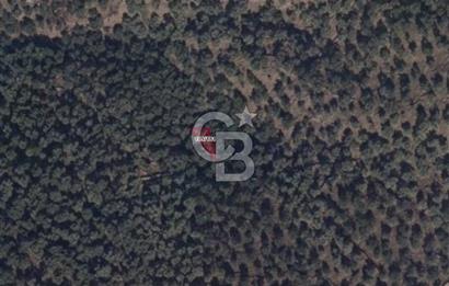CB NETA ÖMER ÜNSAL'DAN MANZARALI 104 m² ZEYTİNLİK 