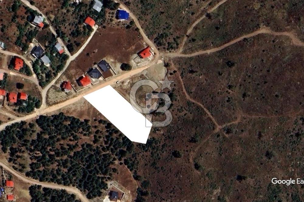 Toroslar Sinap Yaylası'nda Vadi Manzaralı Satılık Tarla Arsa Arazi
