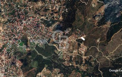 Toroslar Sinap Yaylası'nda Vadi Manzaralı Satılık Tarla Arsa Arazi