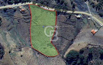 1275337301 Kavacıkta Asfalt Üzerinde 15.186 m2 Tek Tapulu Bağ-Bahçe