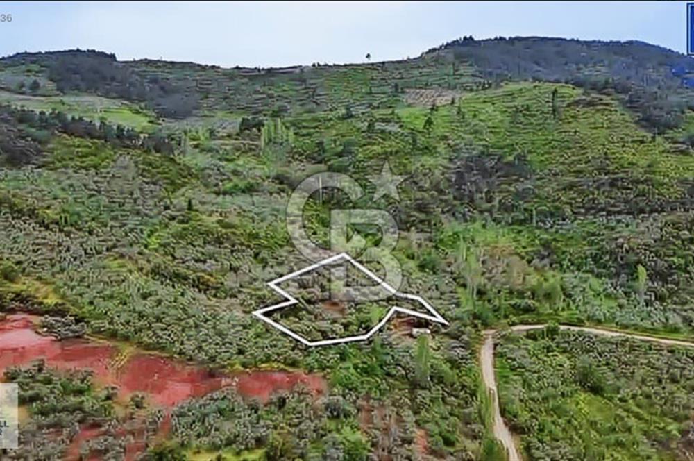 CB BLACK KURŞUNLU SATILIK DENİZ MANZARALI 3947M2 ARAZİ