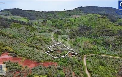 CB BLACK KURŞUNLU SATILIK DENİZ MANZARALI 3947M2 ARAZİ