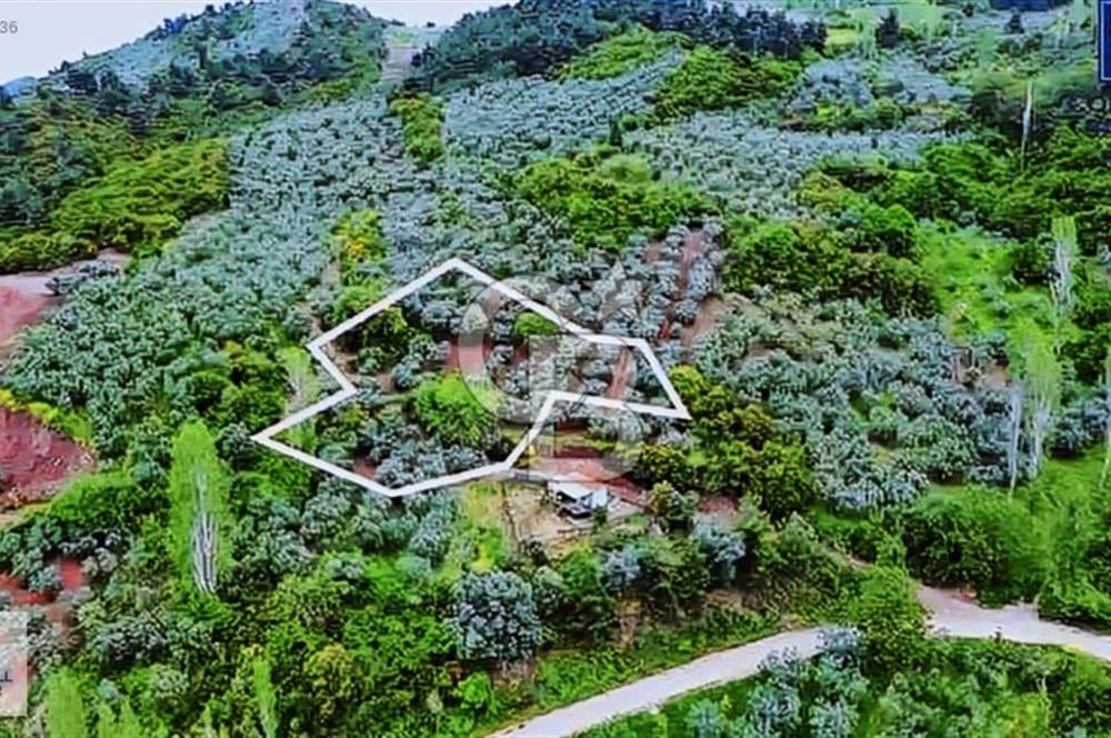 CB BLACK KURŞUNLU SATILIK DENİZ MANZARALI 3947M2 ARAZİ