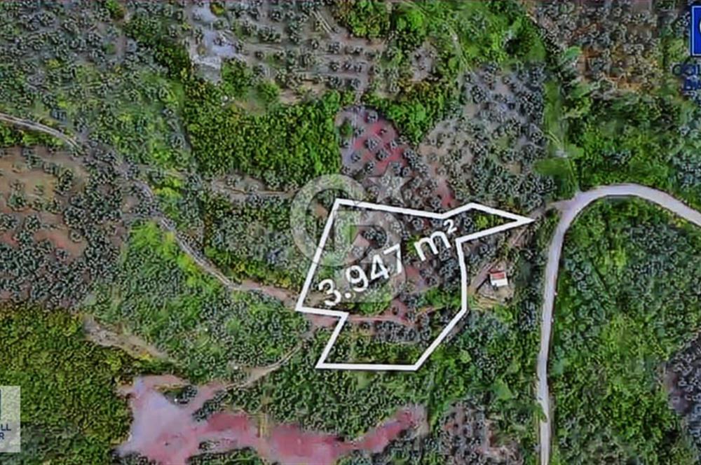 CB BLACK KURŞUNLU SATILIK DENİZ MANZARALI 3947M2 ARAZİ