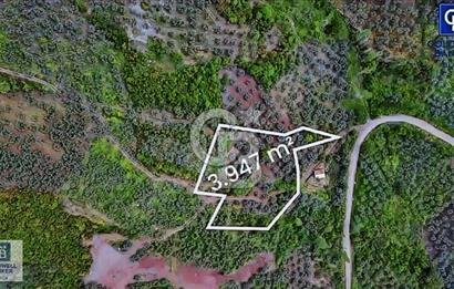 CB BLACK KURŞUNLU SATILIK DENİZ MANZARALI 3947M2 ARAZİ