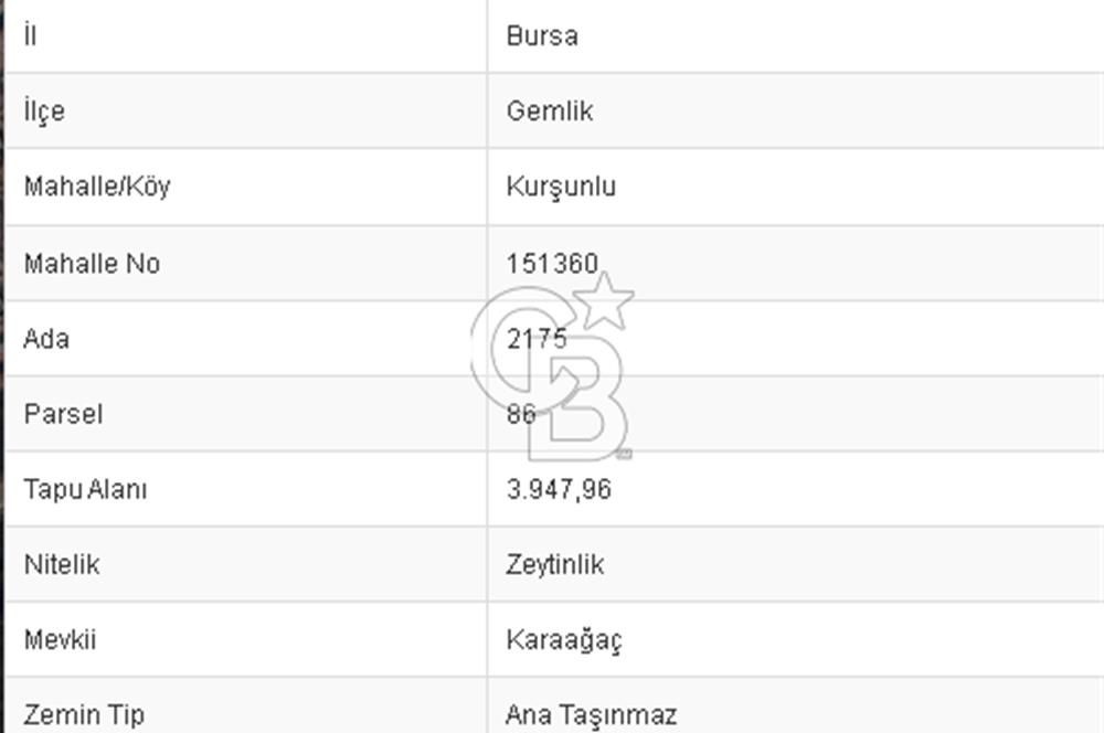 CB BLACK KURŞUNLU SATILIK DENİZ MANZARALI 3947M2 ARAZİ