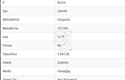 CB BLACK KURŞUNLU SATILIK DENİZ MANZARALI 3947M2 ARAZİ