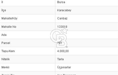 CB BLACK'TEN KARACABEY CAMBAZ SATILIK 4 DÖNÜM TARLA