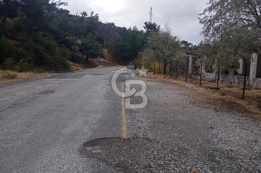 1275337301 Kavacıkta Asfalt Üzerinde 15.186 m2 Tek Tapulu Bağ-Bahçe