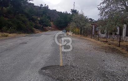1275337301 Kavacıkta Asfalt Üzerinde 15.186 m2 Tek Tapulu Bağ-Bahçe