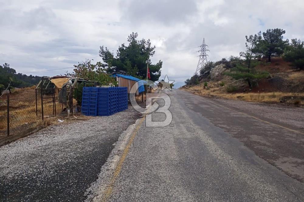 1275337301 Kavacıkta Asfalt Üzerinde 15.186 m2 Tek Tapulu Bağ-Bahçe