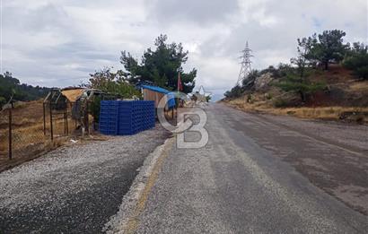 1275337301 Kavacıkta Asfalt Üzerinde 15.186 m2 Tek Tapulu Bağ-Bahçe