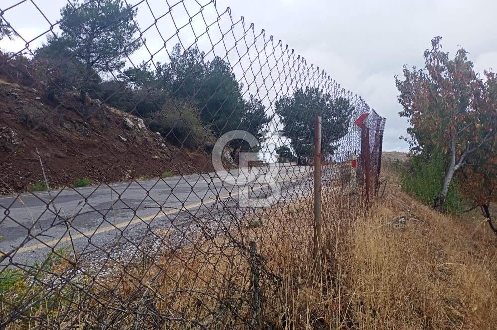 1275337301 Kavacıkta Asfalt Üzerinde 15.186 m2 Tek Tapulu Bağ-Bahçe