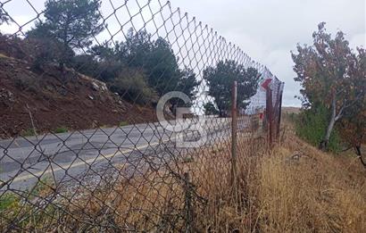 1275337301 Kavacıkta Asfalt Üzerinde 15.186 m2 Tek Tapulu Bağ-Bahçe