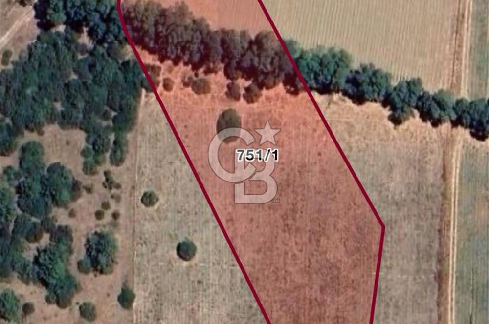 Karaburun Küçükbahçe 275 m² İmarlı Arsa