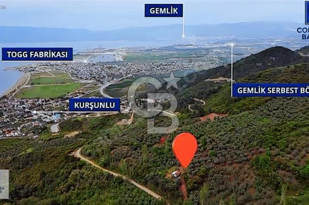 CB BLACK KURŞUNLU SATILIK DENİZ MANZARALI 3947M2 ARAZİ