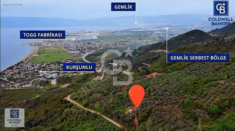 CB BLACK KURŞUNLU SATILIK DENİZ MANZARALI 3947M2 ARAZİ