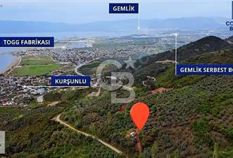 CB BLACK KURŞUNLU SATILIK DENİZ MANZARALI 3947M2 ARAZİ