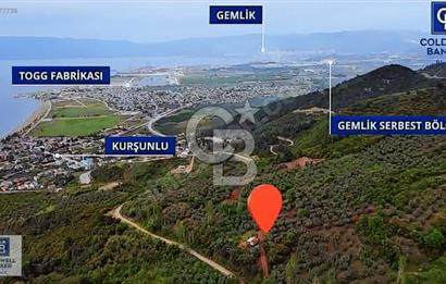 CB BLACK KURŞUNLU SATILIK DENİZ MANZARALI 3947M2 ARAZİ