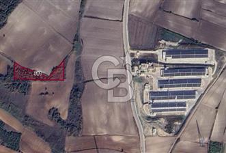 CB BLACK'TEN KARACABEY CAMBAZ SATILIK 4 DÖNÜM TARLA