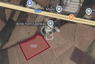 TAŞOLUK MALKARA ALAYBEY DE SATILIK TARLA