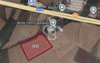 TAŞOLUK MALKARA ALAYBEY DE SATILIK TARLA