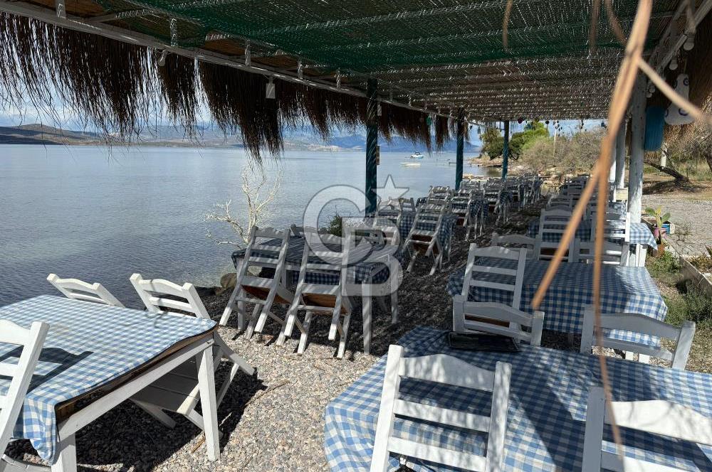 Urla Özbek Devren Kiralık Denize Sıfır Restaurant