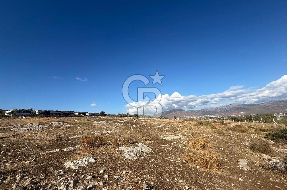 Menemen Türkelli Paşalar Mevkiinde Satılık 2.000 m² Tarla