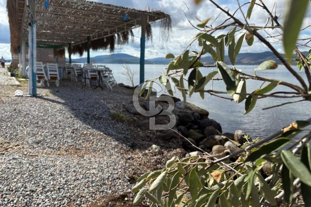 Urla Özbek Devren Kiralık Denize Sıfır Restaurant