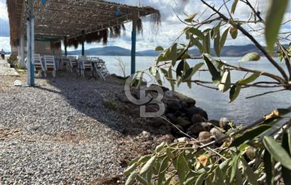 Urla Özbek Devren Kiralık Denize Sıfır Restaurant